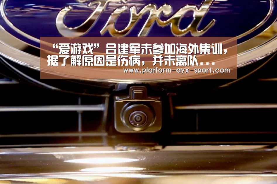 爱游戏官网