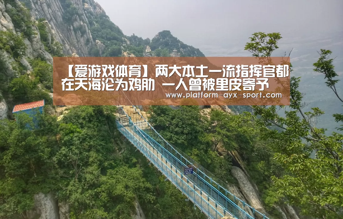 【爱游戏体育】两大本土一流指挥官都在天海沦为鸡肋 一人曾被里皮寄予厚望(图3) 爱游戏首页