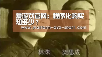 爱游戏官网:程序化购买知多少?(图1) 爱游戏体育