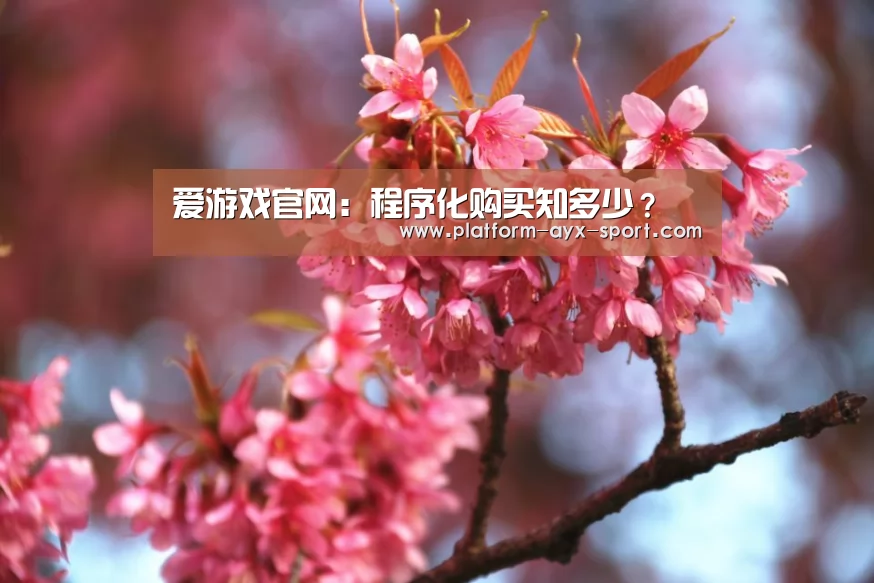 爱游戏官网:程序化购买知多少?(图3) 爱游戏首页