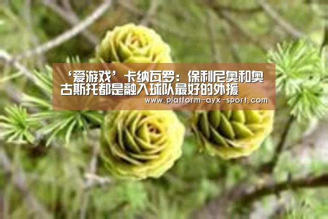 ‘爱游戏’卡纳瓦罗:保利尼奥和奥古斯托都是融入球队最好的外援(图1) 爱游戏