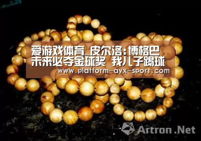 爱游戏体育_皮尔洛:博格巴未来必夺金球奖 我儿子踢球比我强(图2) 爱游戏体育
