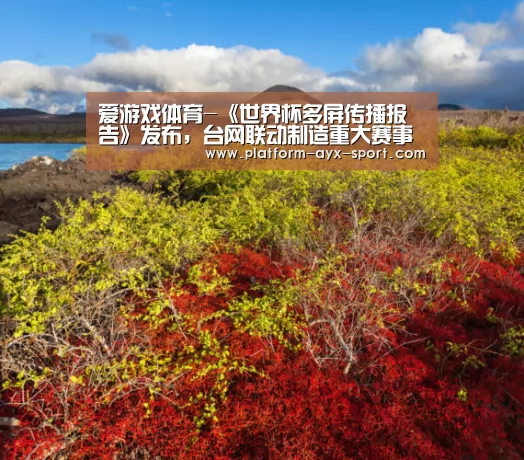 爱游戏体育-《世界杯多屏传播报告》发布,台网联动制造重大赛事直播新看点(图3) 爱游戏首页