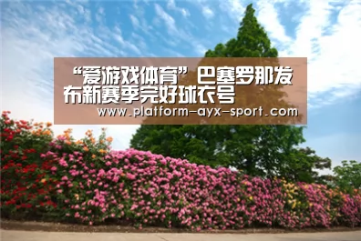 “爱游戏体育”巴塞罗那发布新赛季完好球衣号(图2) 爱游戏