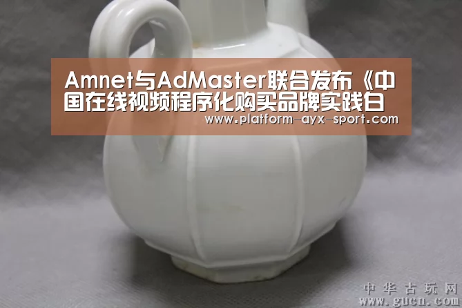 Amnet与AdMaster联合发布《中国在线视频程序化购买品牌实践白皮书》-爱游戏首页(图2) 爱游戏体育