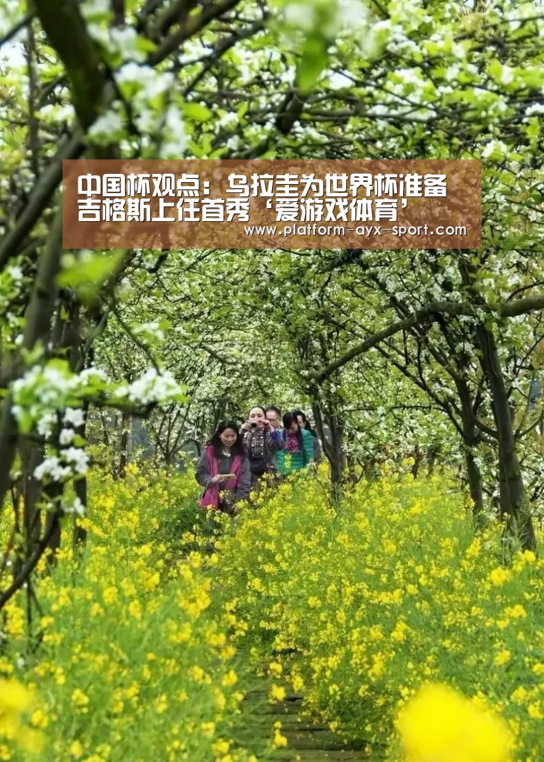 爱游戏首页