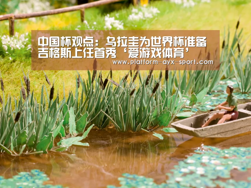 爱游戏体育
